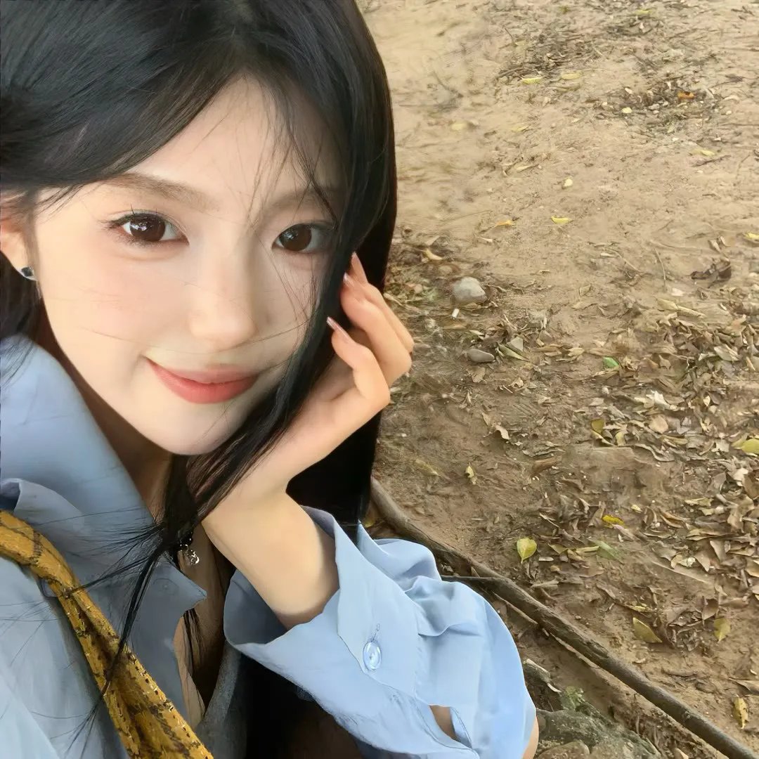 大明星醒目狗